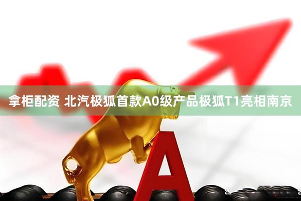 拿柜配资 北汽极狐首款A0级产品极狐T1亮相南京